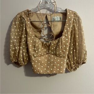 Hello Molly crop top